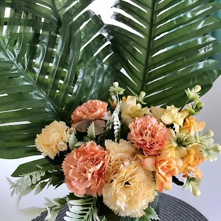 Panorama Appartement Obzor