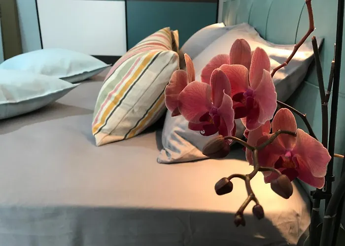 아파트 Panorama *