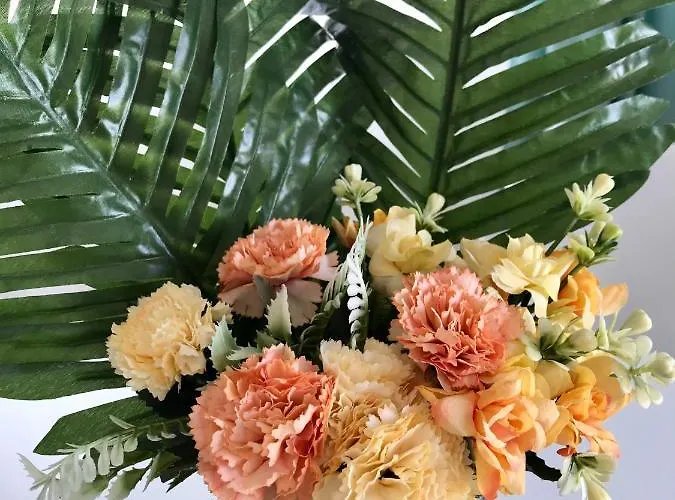 Panorama アパート オブゾー