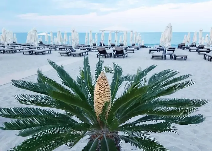 Lejlighed Panorama *